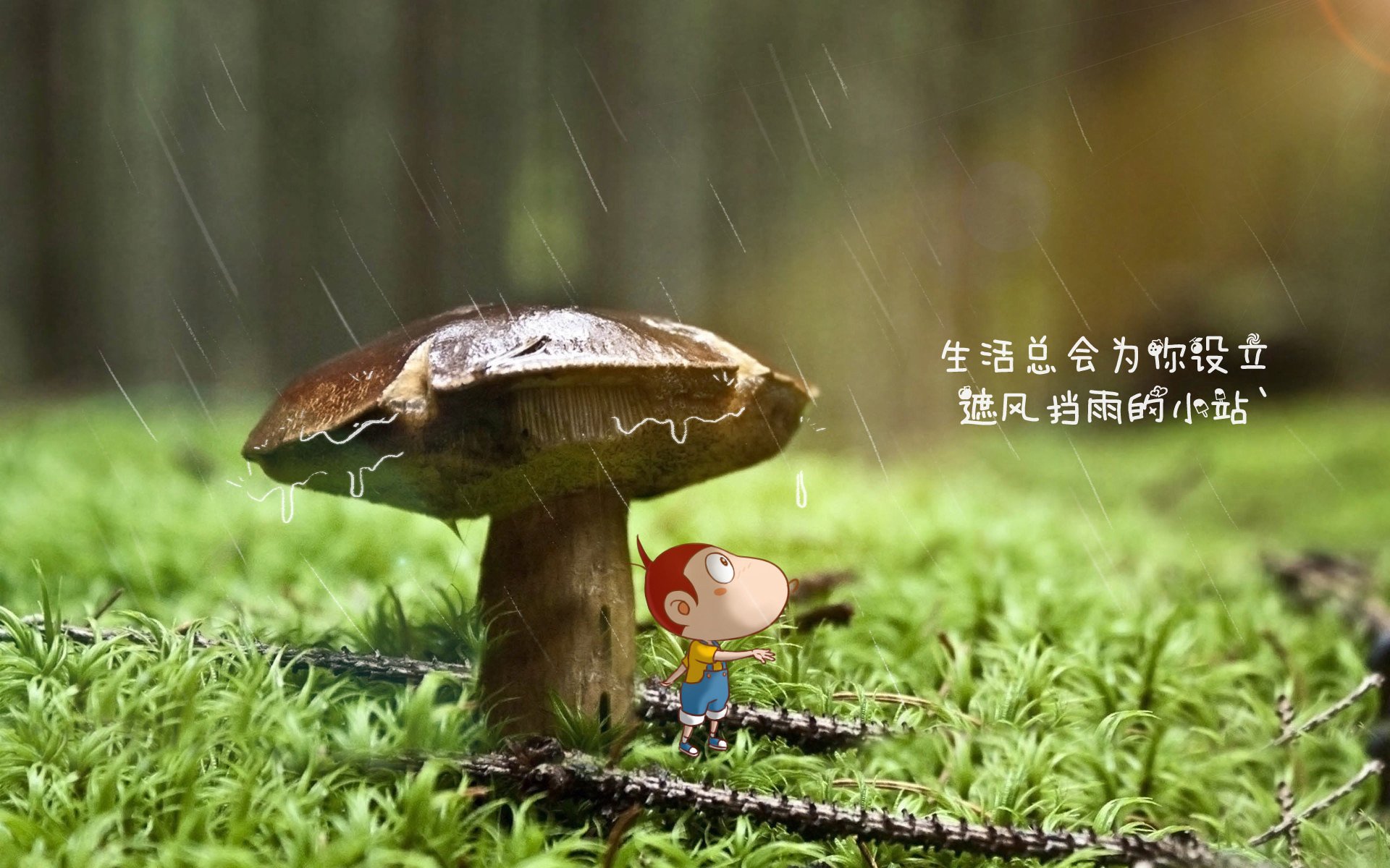 开云体育APP下载-赛场默契：车手与队友完美配合的瞬间
