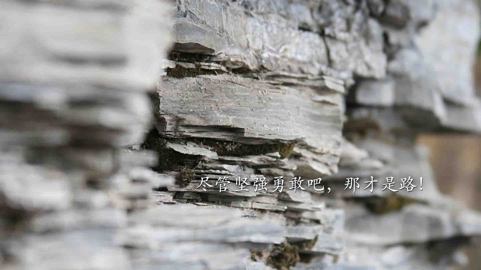 开云平台-世界青少年代际对抗赛点燃体育激情,世界级青少年比赛