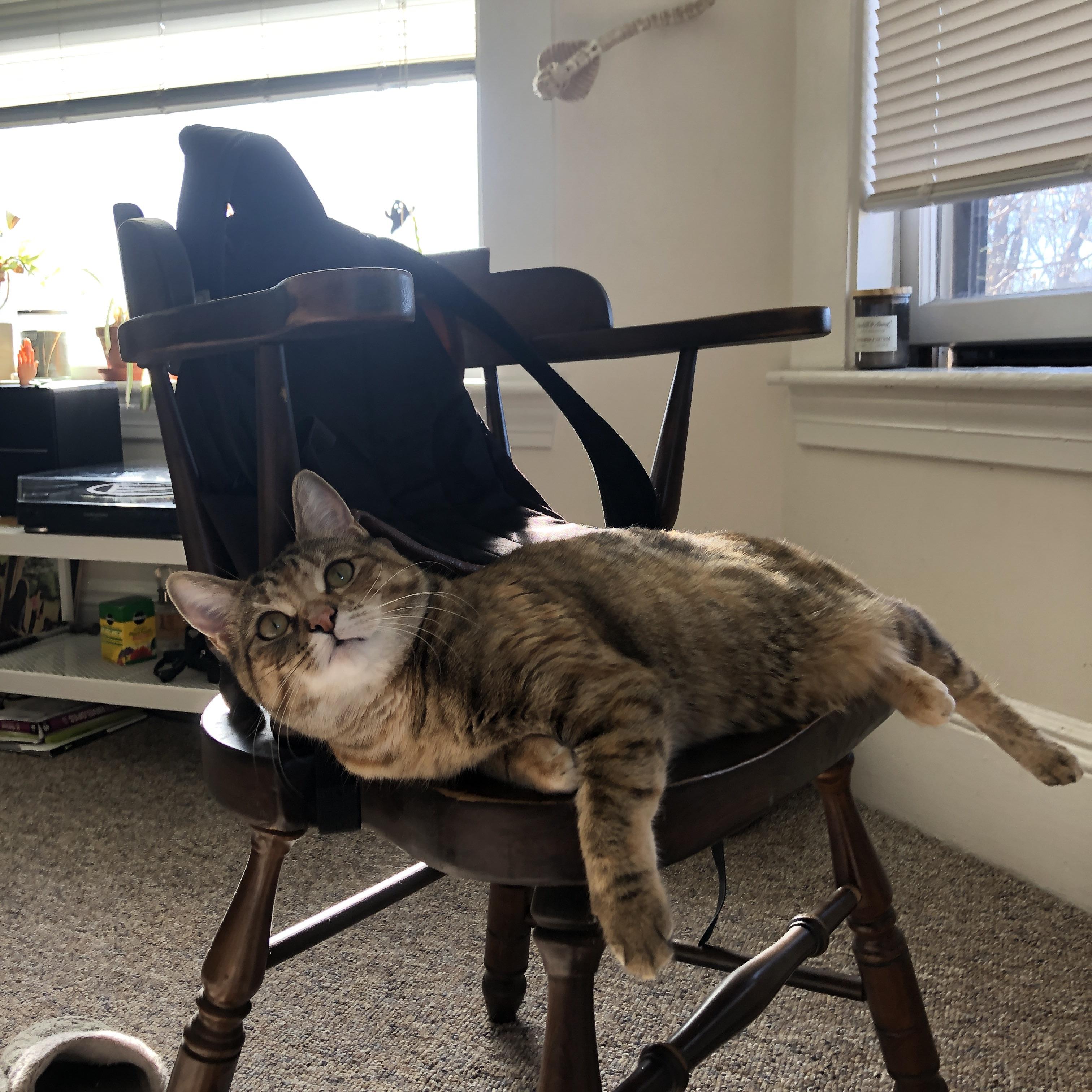 Kaiyun(中国)开云-跨界创新:足球与音乐、电影的深度结合,足球经典音乐