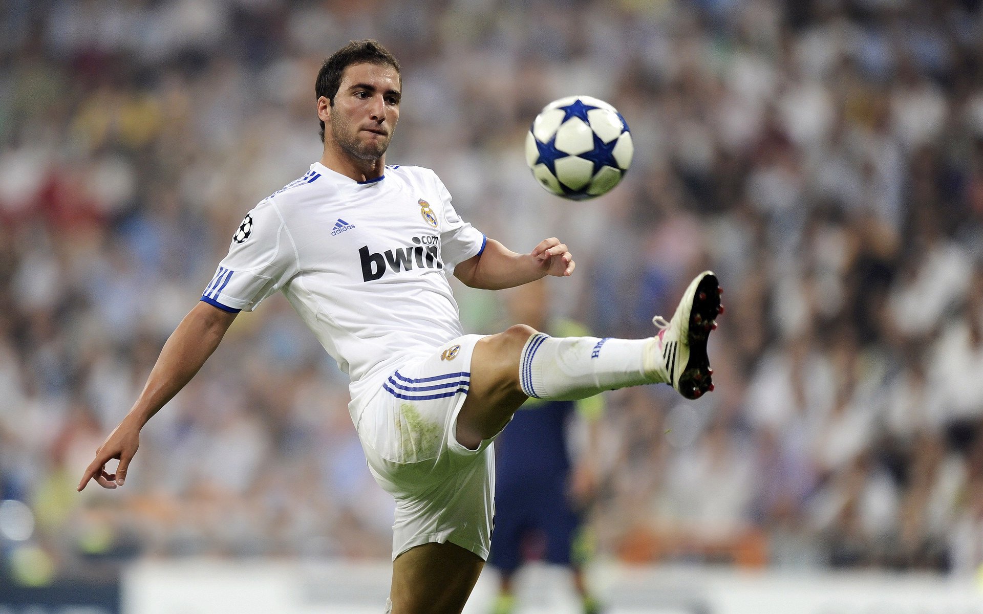 开云网址入口-“未来之星：青少年足球运动员崭露头角”，未来之星足球队的教练和小队员正在研究